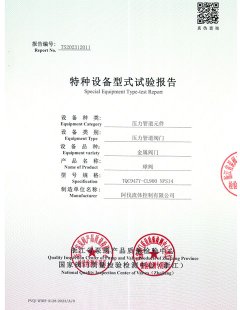 2024年型式试验报告2011